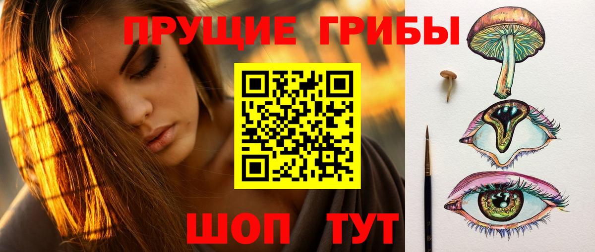 Псилоцибиновые грибы прущие грибы  Вход с VPN  как найти наркотики  Дивногорск 